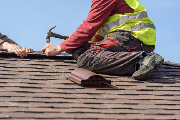 Best Shingle Roofing Installation  in Marlette, MI